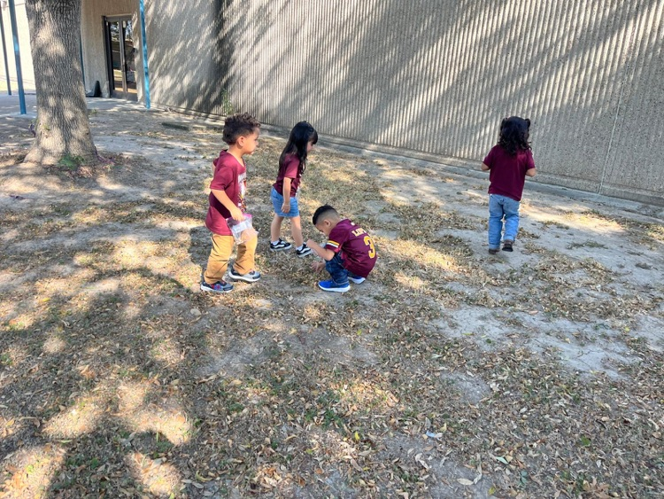 PreK-3 students exploring nature. 