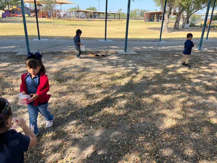 PreK-3 students exploring nature. 