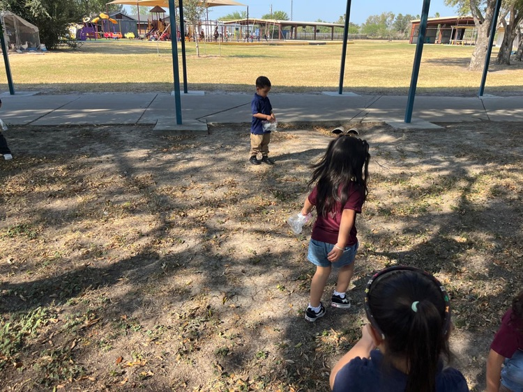 PreK-3 students exploring nature. 