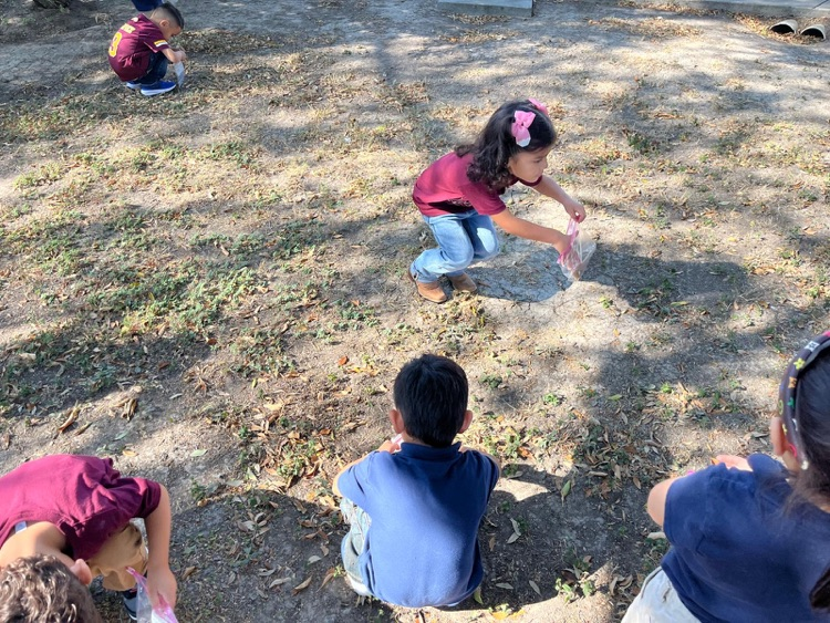PreK-3 students exploring nature. 