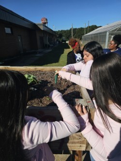 thumbnail_1000011531