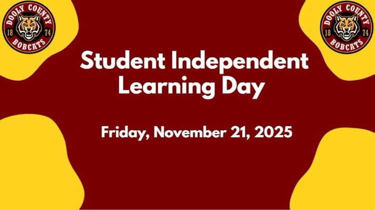 Student Asynchronous Day