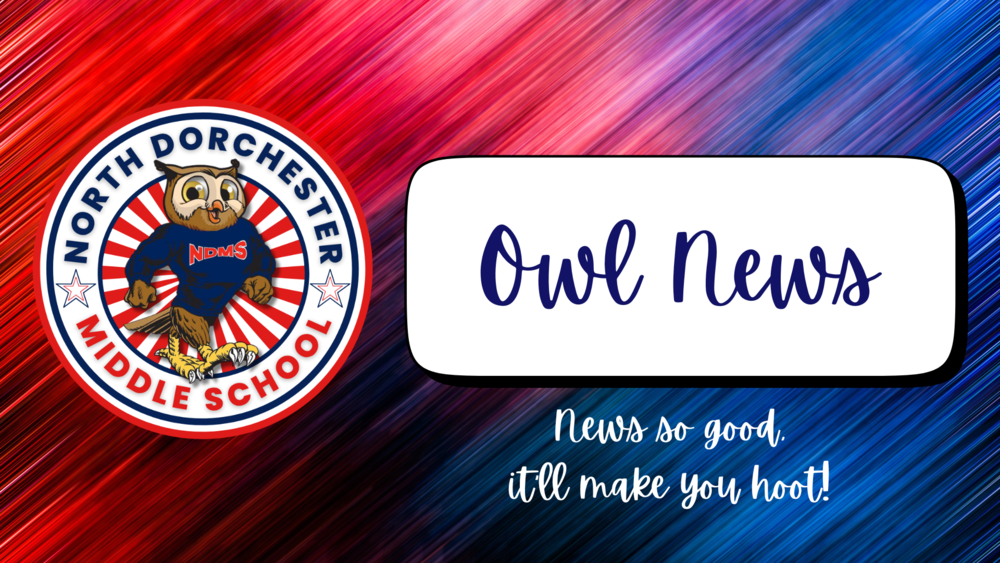 owl news