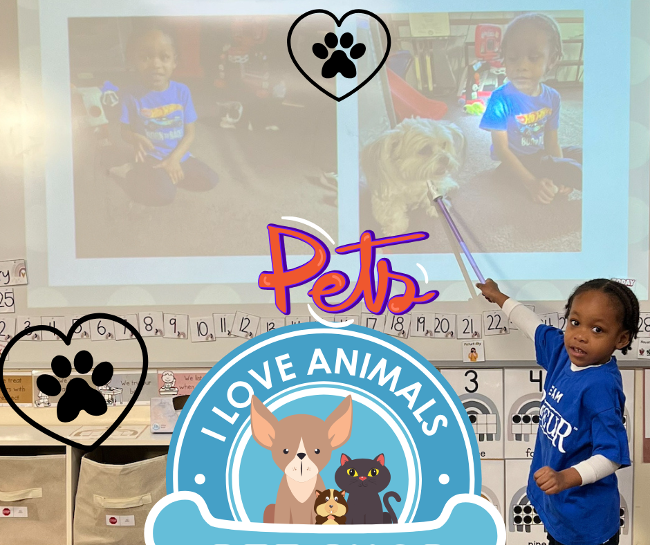 pet day