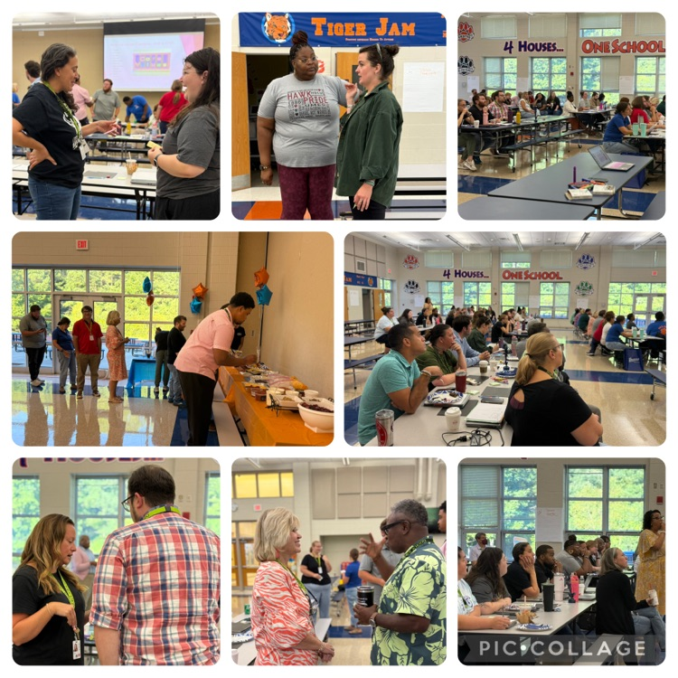 pic collage of staff collaborating together 