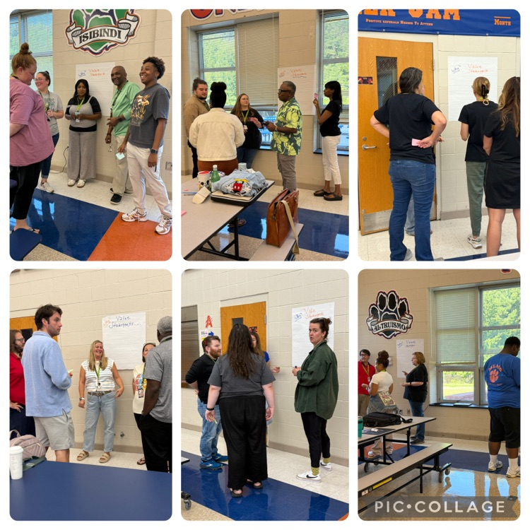 pic collage of staff collaborating together