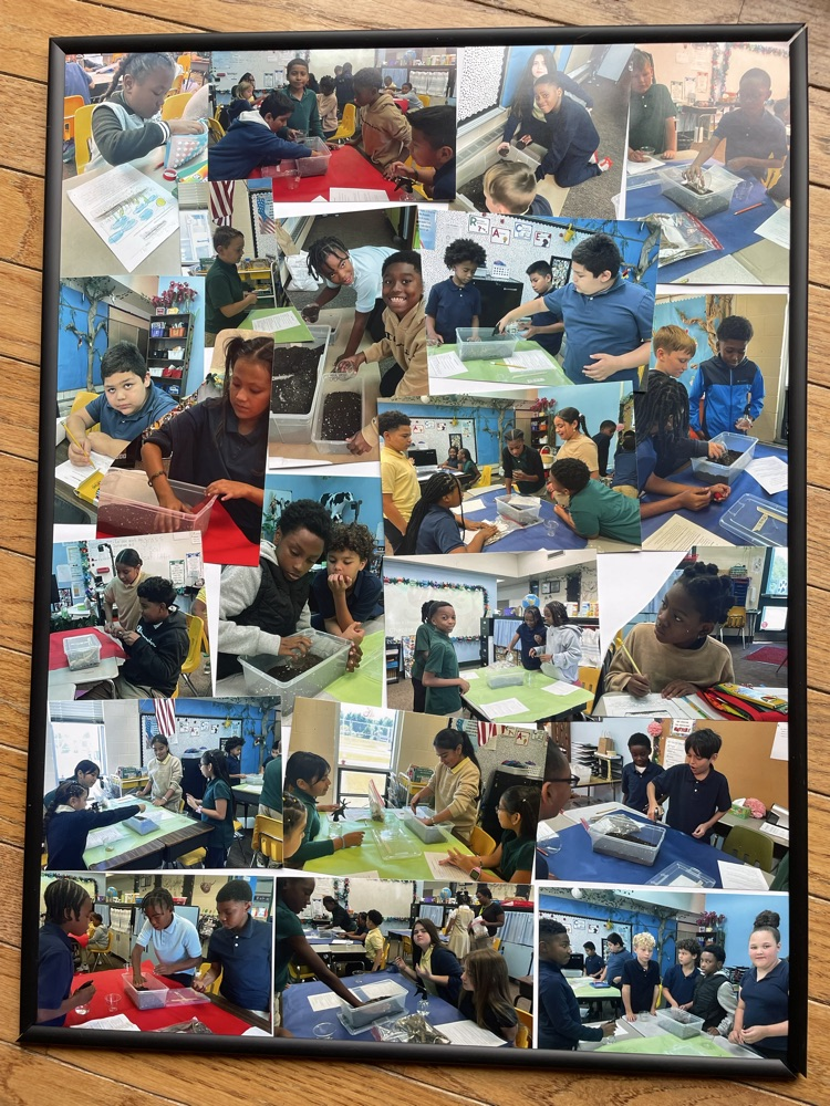collage