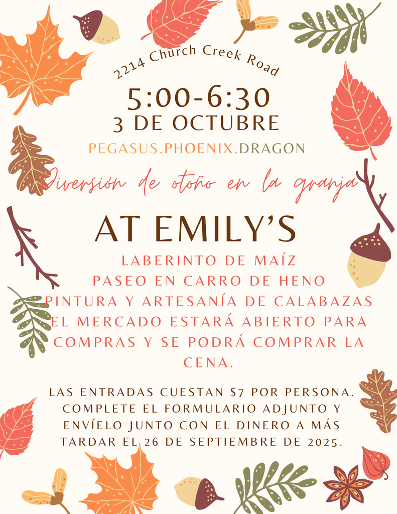 Spanish flyer
