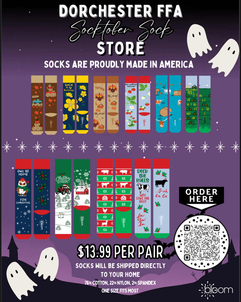 Socks