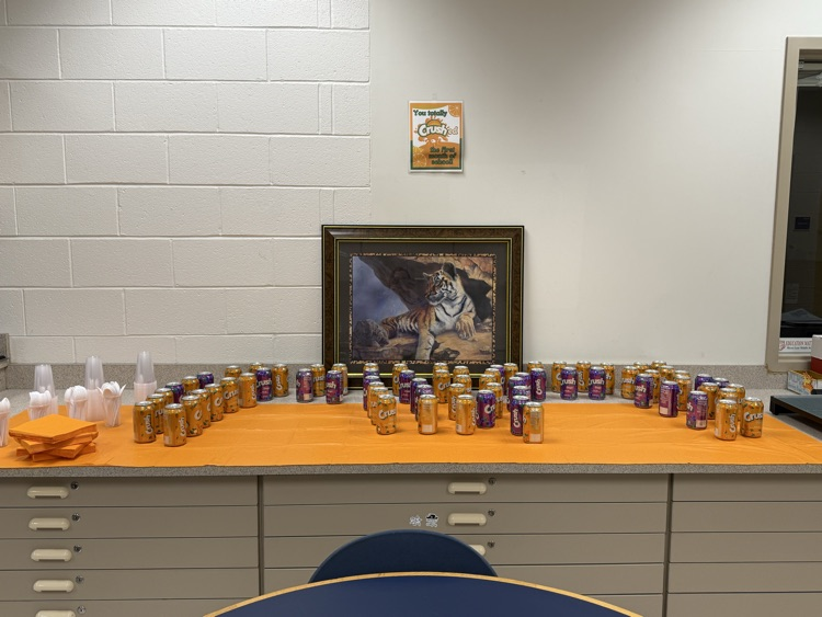 MLMS staff crushed the first month