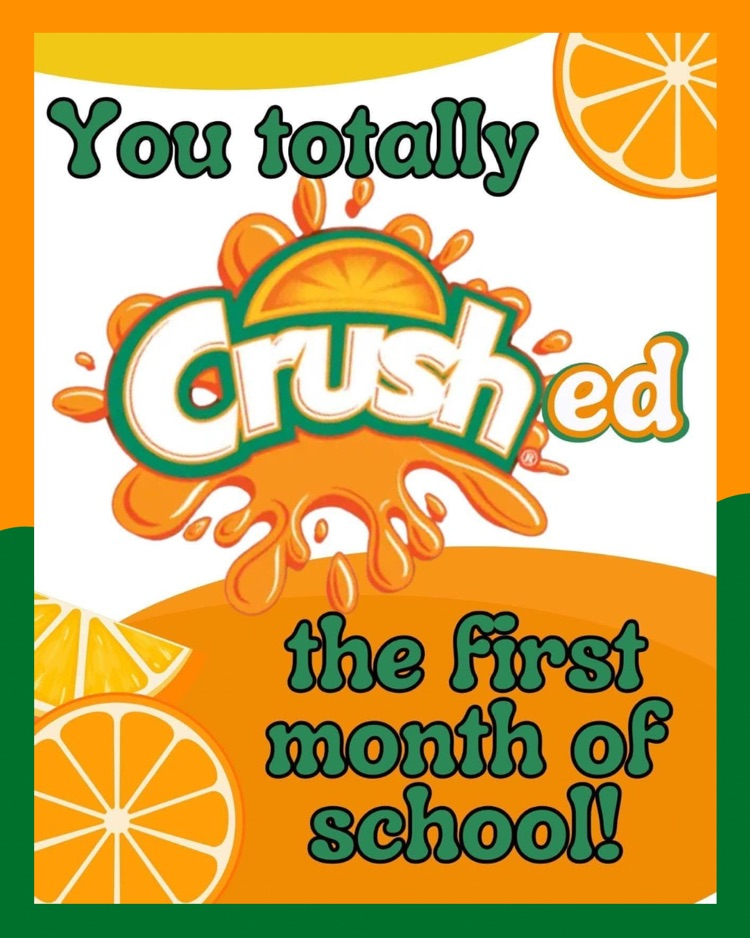 MLMS staff crushed the first month