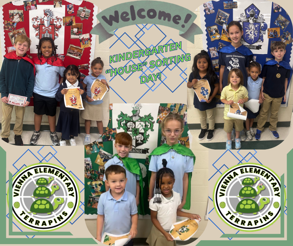 kindergarten sorting