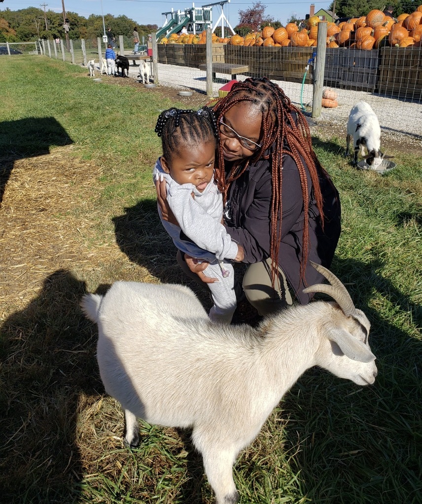 Council farms field trip