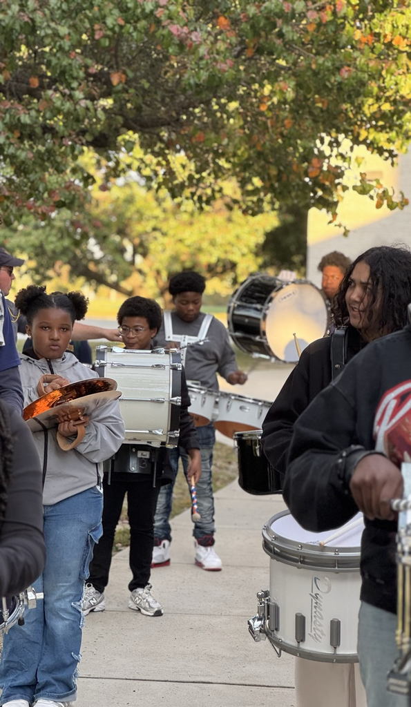 MLMS future Viking night 