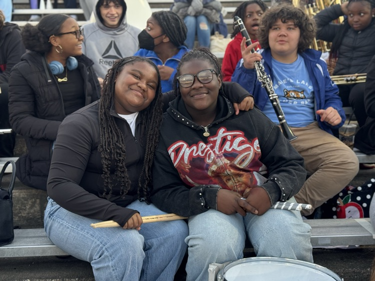 MLMS future Viking night 