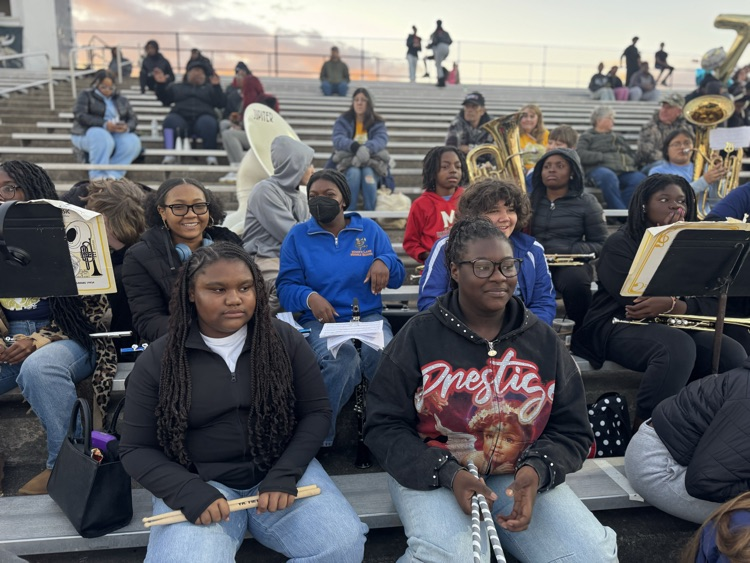 MLMS future Viking night 