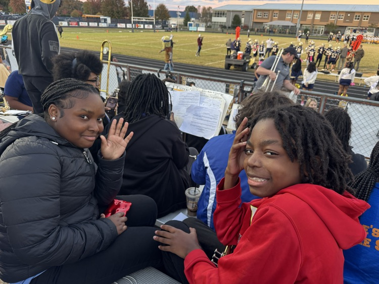 MLMS future Viking night 