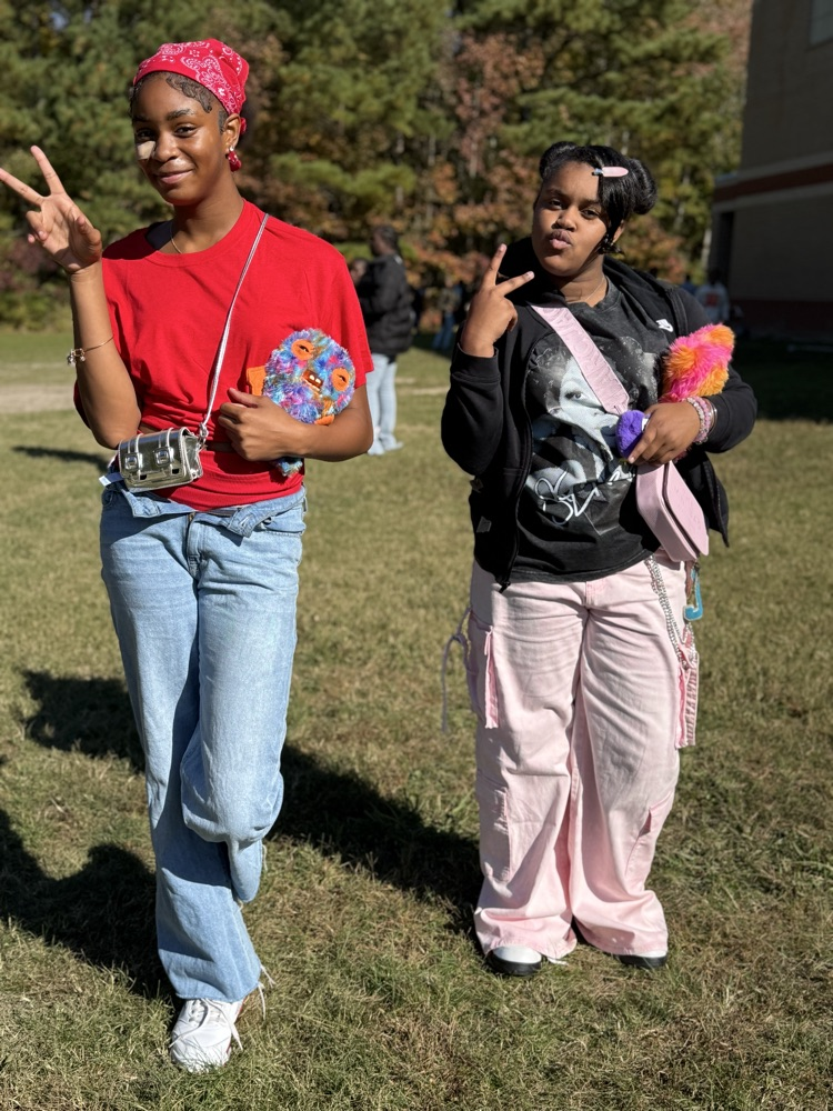 MLMS decades day