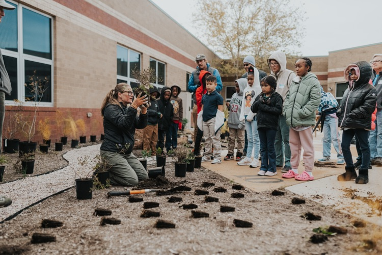 CES courtyard project