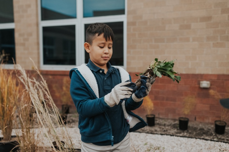 CES courtyard project