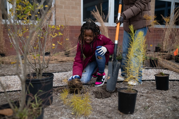 CES courtyard project