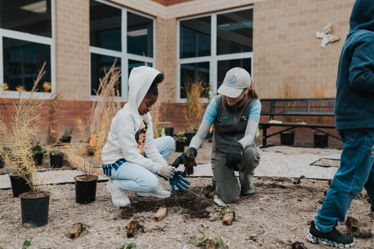 CES courtyard project
