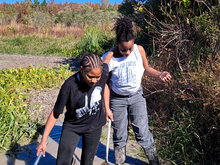 MLMS at Pickering creek