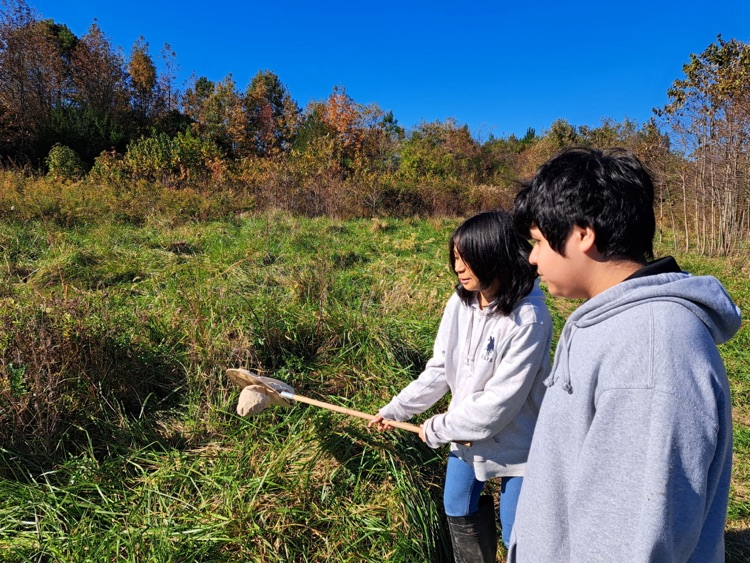 MLMS at Pickering creek