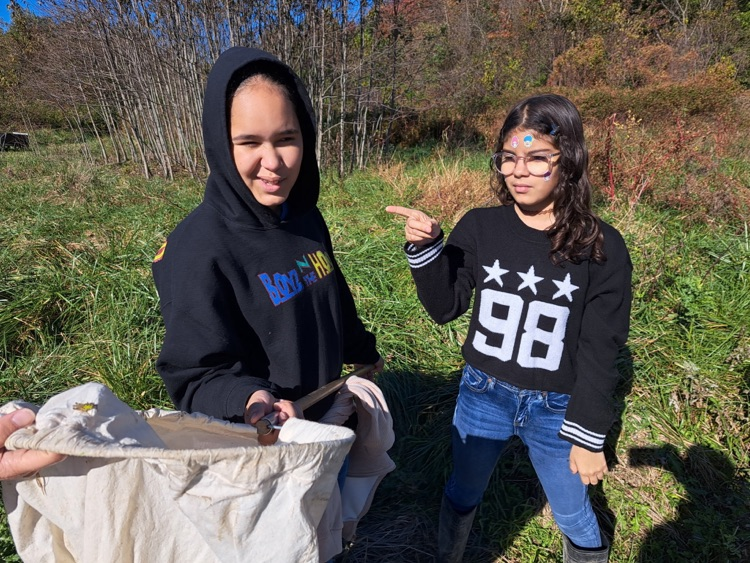 MLMS at Pickering creek