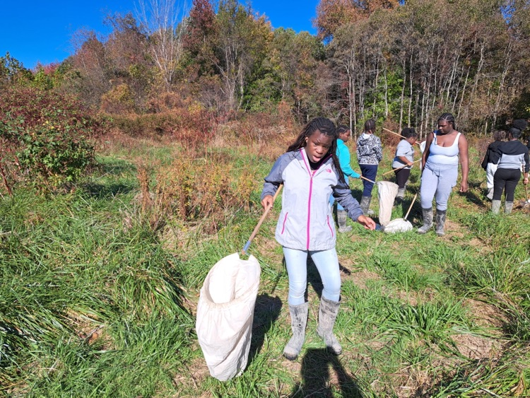 MLMS at Pickering creek