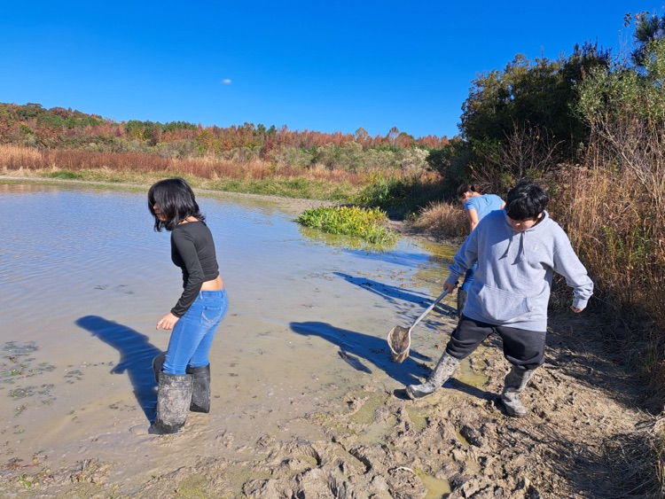 MLMS at Pickering creek