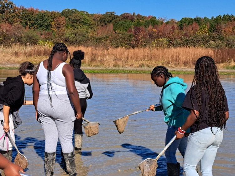 MLMS at Pickering creek