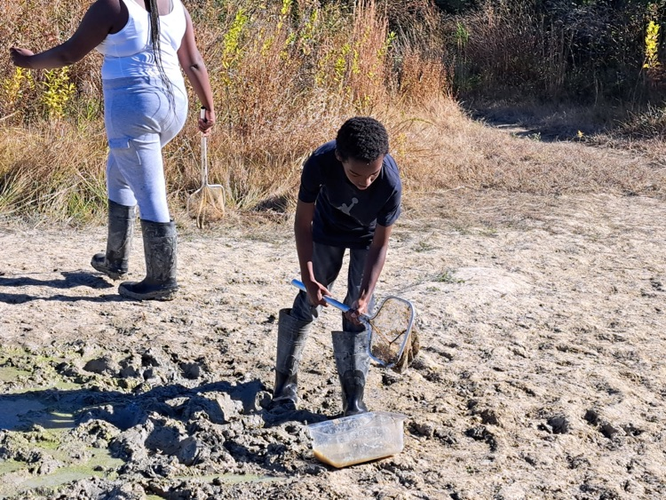 MLMS at Pickering creek