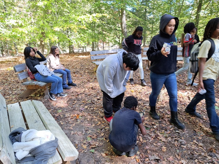 MLMS at Pickering creek