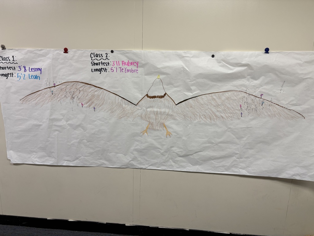 Picture of eagles wing span