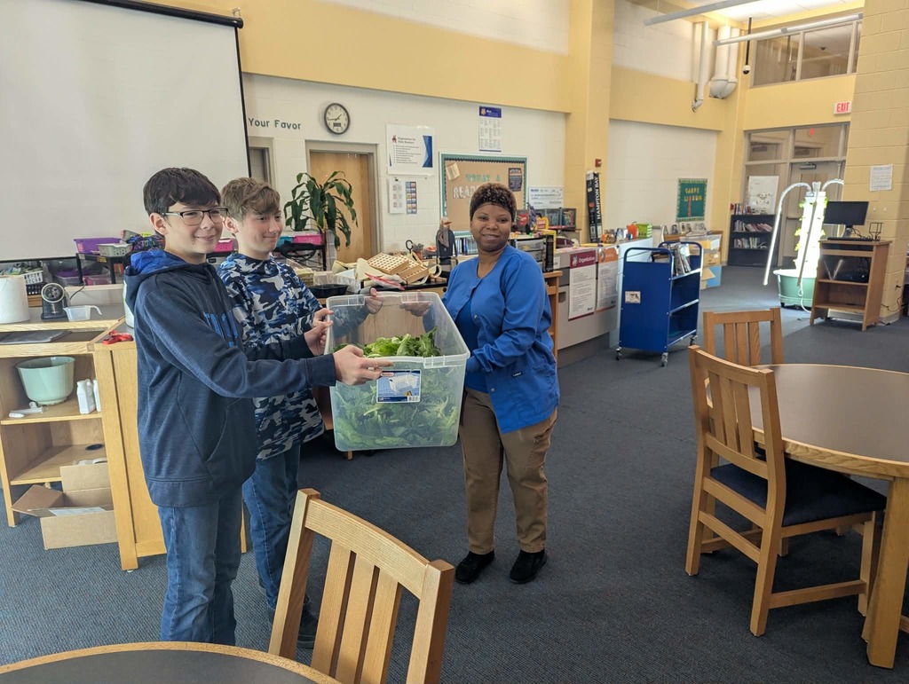 Lettuce in Media Center