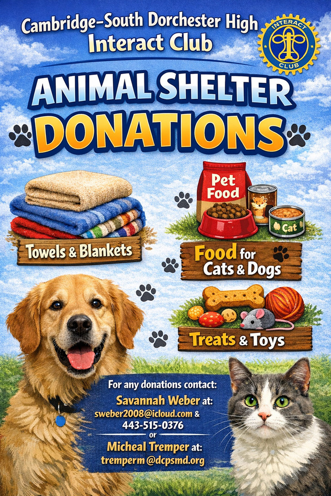 Animal Shelter