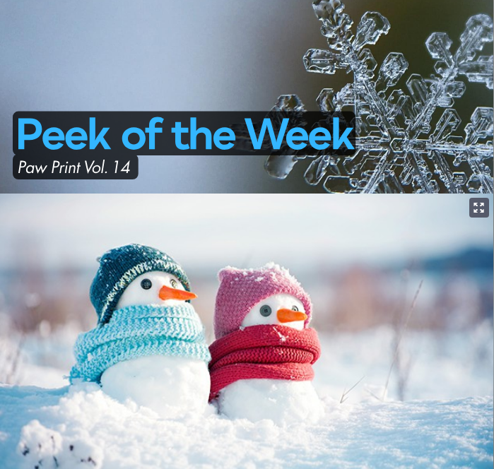 Peek of the Week Vol 14