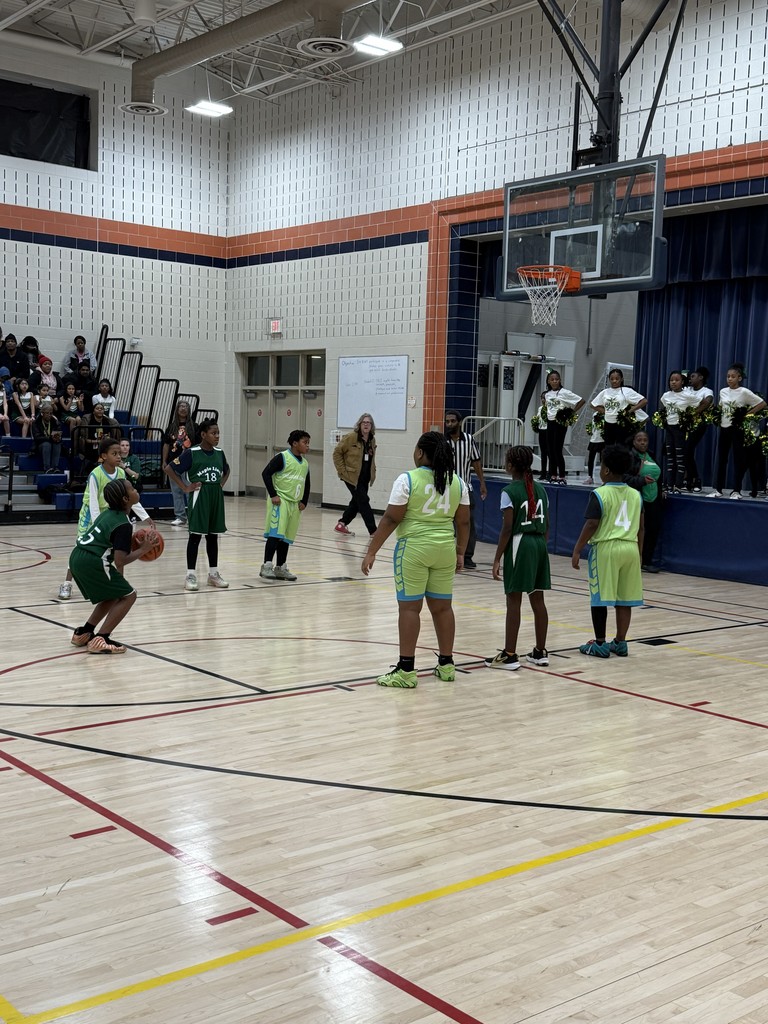 Cambridge Elementary Schools Basketball