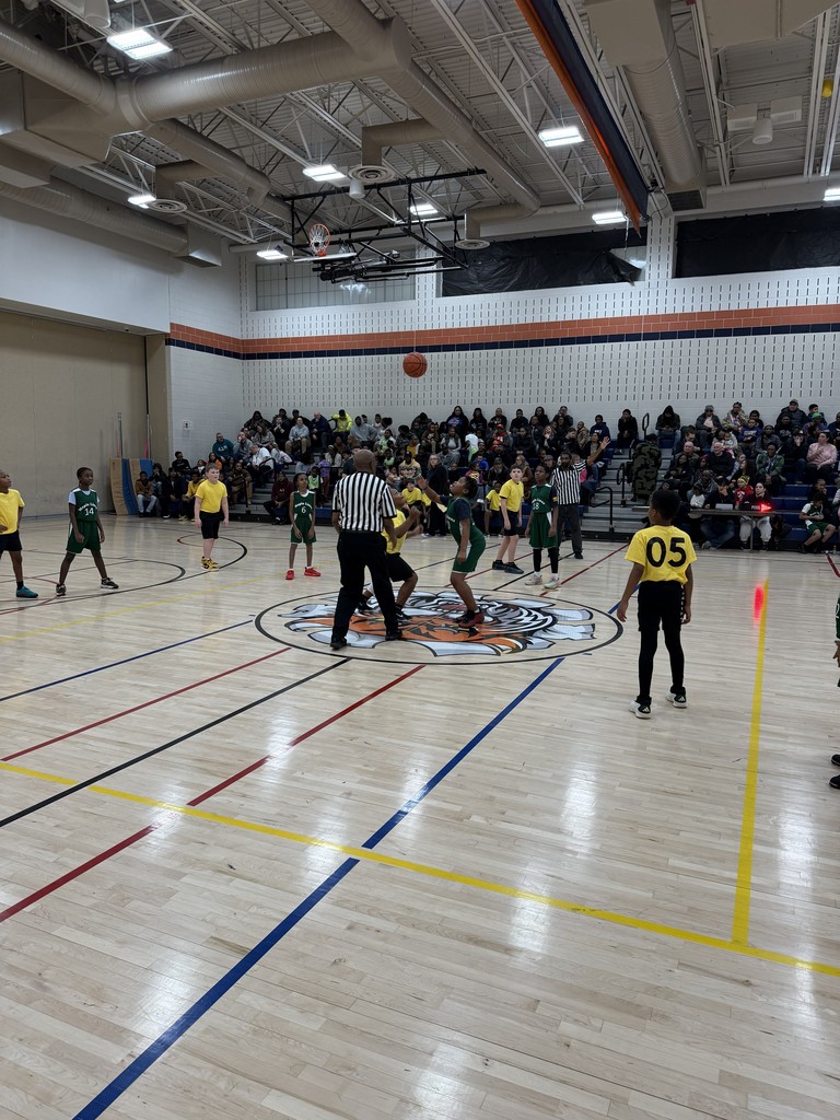 Cambridge Elementary Schools Basketball