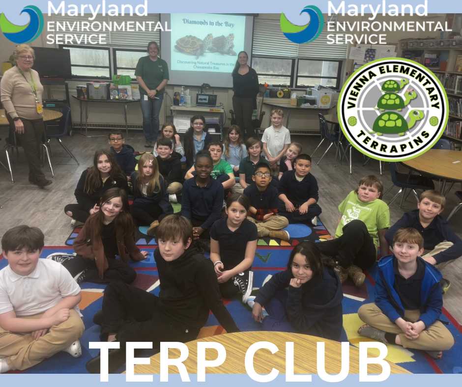 Terp club