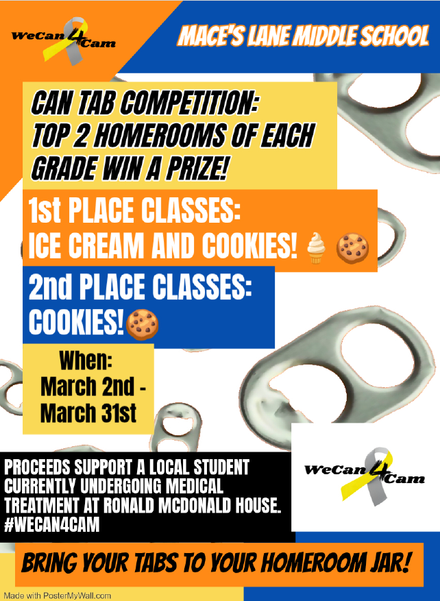 Pop Can Tabs for Cam contest at MLMS!