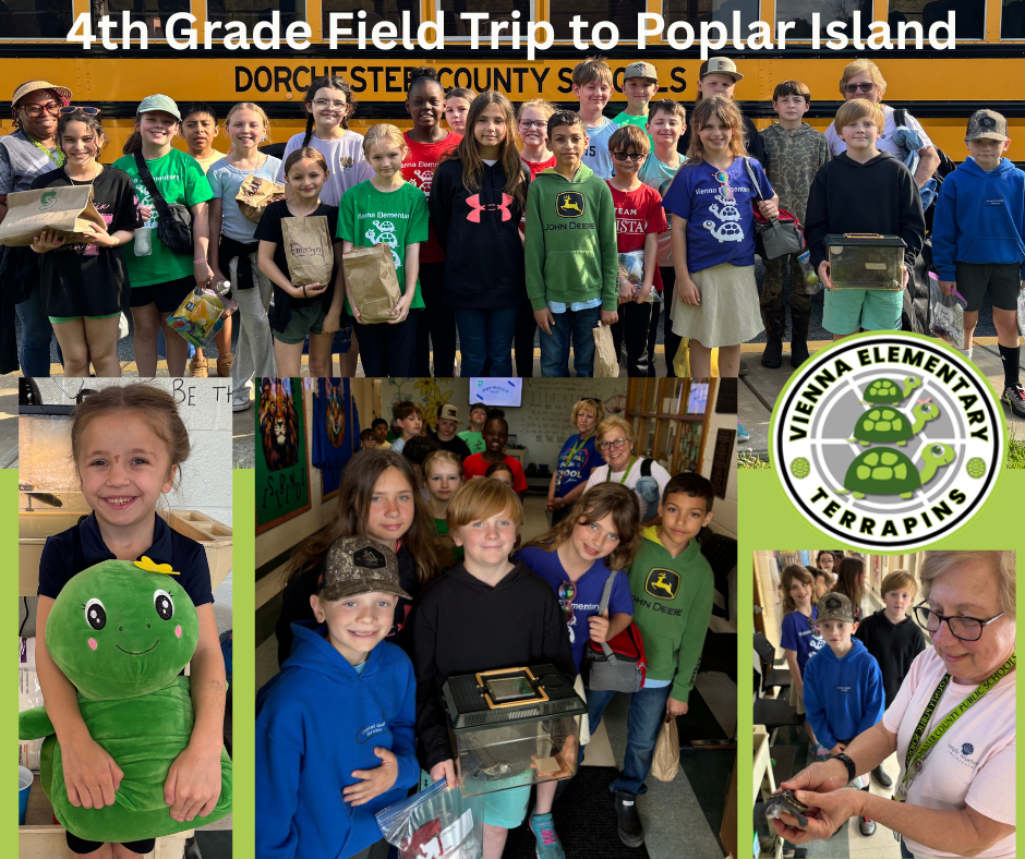 trip to poplar island 4th grade