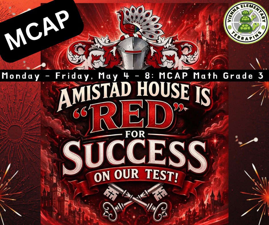 MCAP math Grade 3