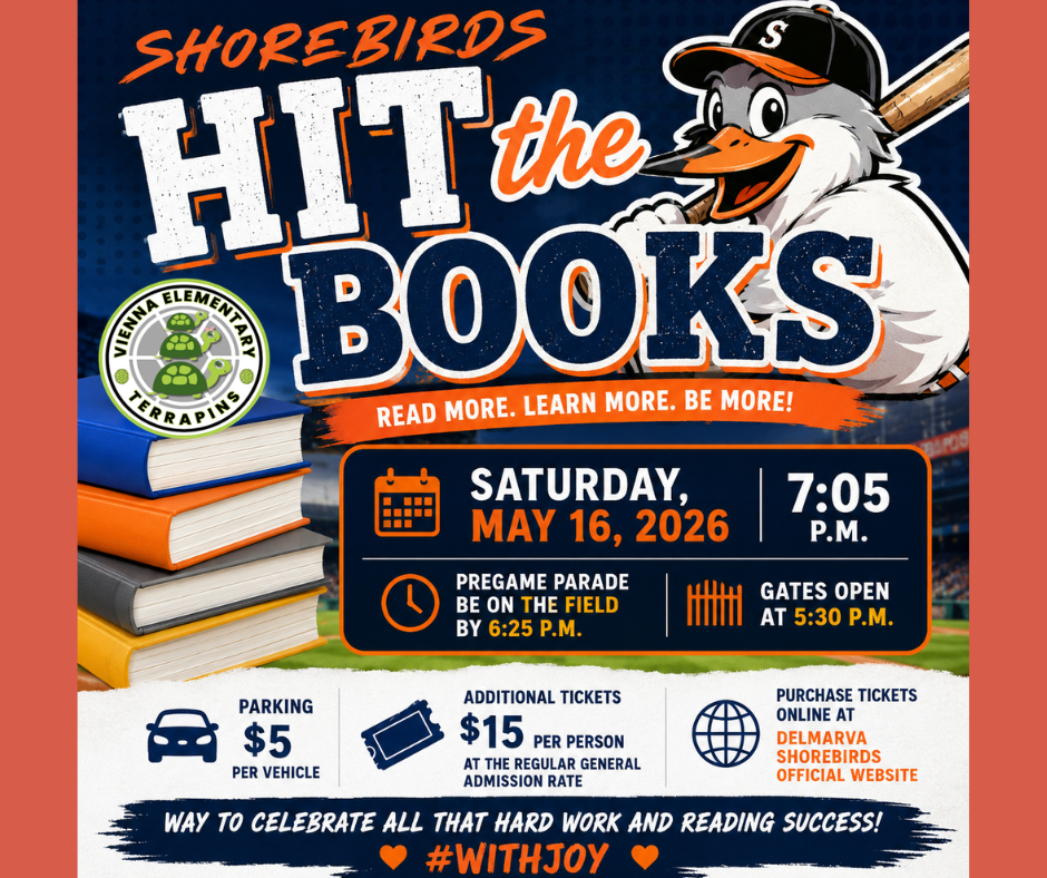 shorebirds game
