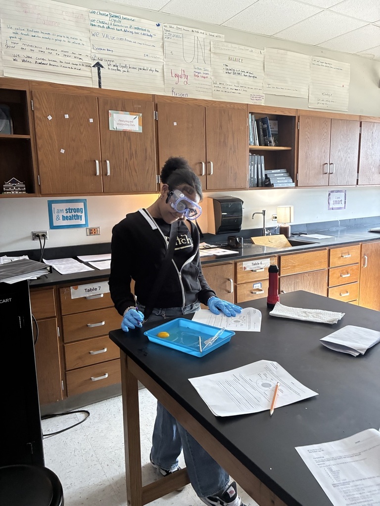 8th grade egg dissection lab