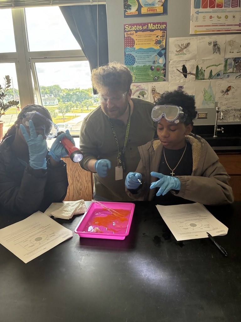 8th grade egg dissection lab