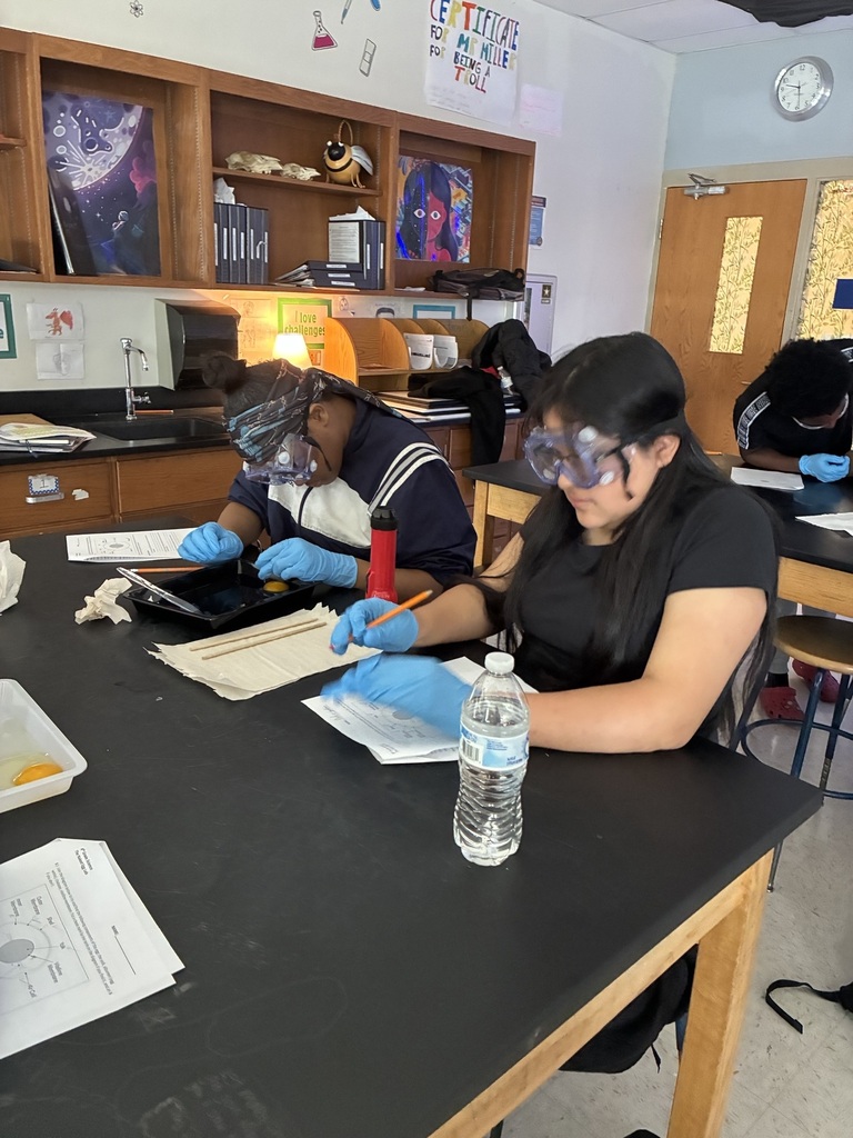8th grade egg dissection lab
