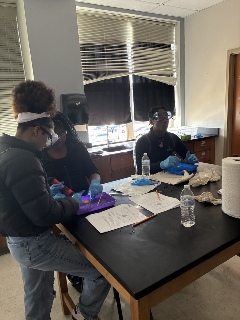 8th grade egg dissection lab