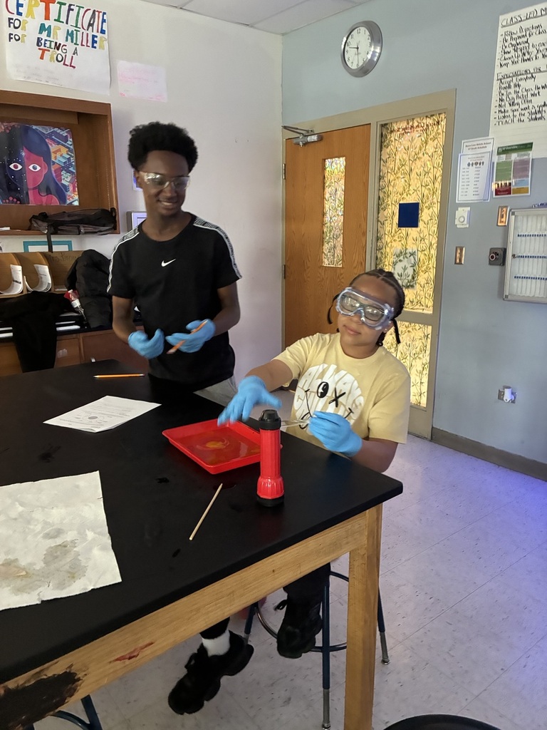 8th grade egg dissection lab